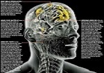 MIND CONTROL